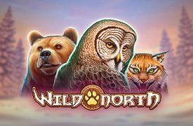 Wild North